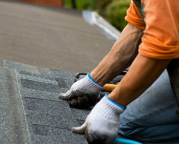 Best Emergency Roof Repair Services  in Walker, MI